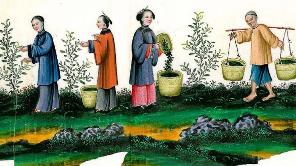 A história do fazendeiro chinês