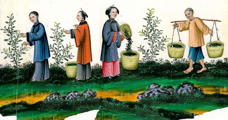 A história do fazendeiro chinês